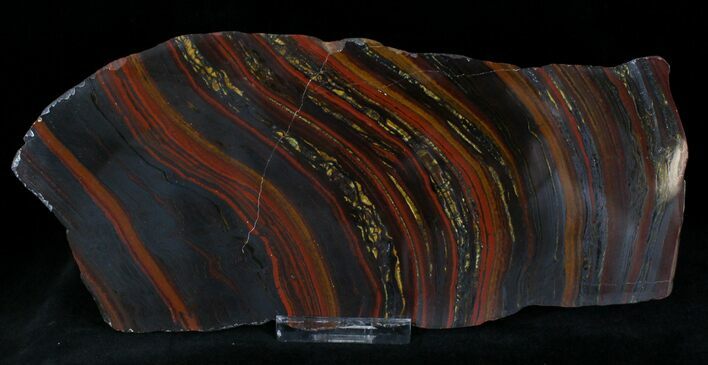Banded Tiger Iron Stromatolite - Australia ( Billion Years) #22497